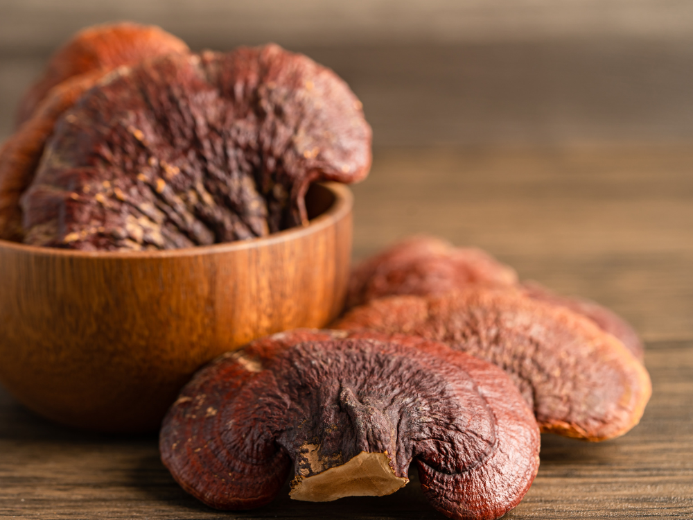 1. Giới thiệu sản phẩm