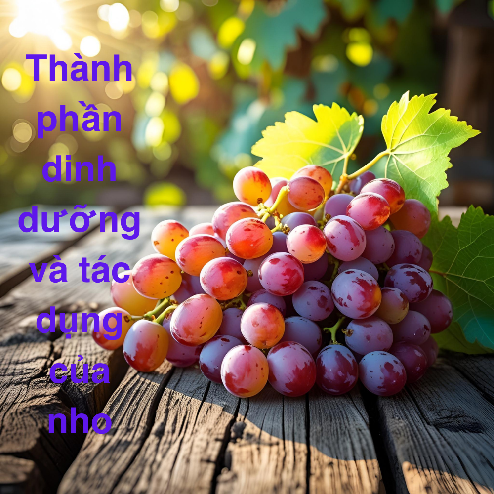 Thành Phần Dinh Dưỡng Của Trái Nho Và Tác Dụng Thực Tế